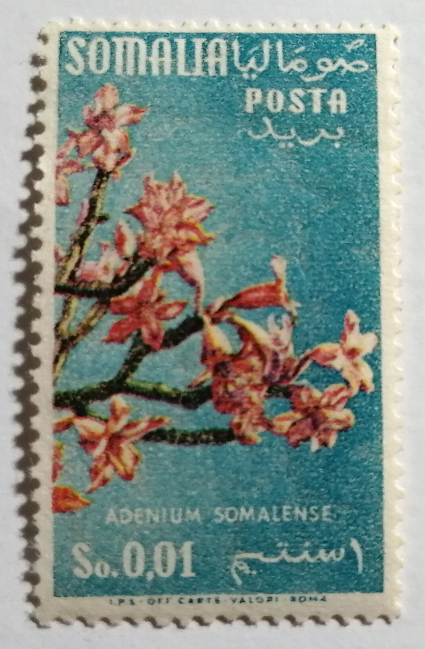 SOMALIA 0,01 SO 1960