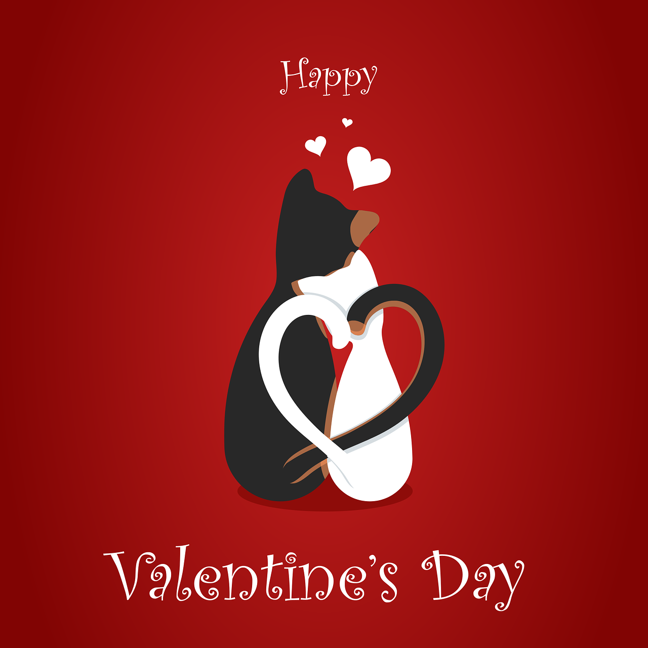 Gatti San Valentino Foto di LumoSpark da Pixabay